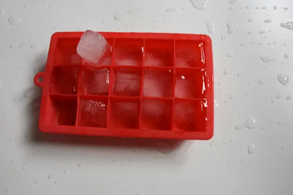 Silicone Ice Cube Tray 19