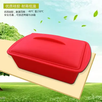 Silicone Lunch Box 25